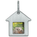 Search for pet supplies Kitty