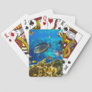 Search for fish playing cards Dive
