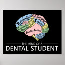 Search for teeth anatomy posters Dentist
