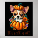 Search for jack skellington posters Black cat