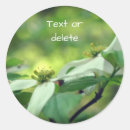 Search for dogwood flower stickers Floral