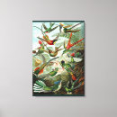 Search for hummingbird painting canvas prints Green