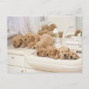 Search for sink postcards Mirror