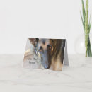 Search for attentive cards Pet