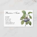 Search for fruit orchard business cards Organic