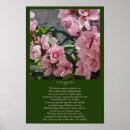 Search for cool for posters Inspiration