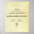 Search for earthquake posters Physical