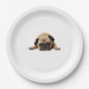 Search for pug plates Party