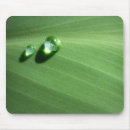 Search for droplets mouse mats Green