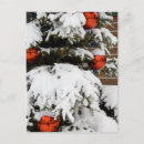 Search for np postcards Alberta