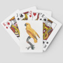 Search for parrot playing cards Bird