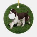 Search for english springer spaniel christmas tree decorations Liver
