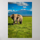 Search for kilimanjaro posters Amboseli national park