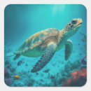 Search for marine animal stickers Beach