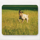 Search for running mouse mats Outdoors