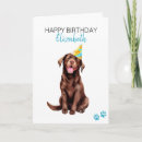 Search for chocolate lab birthday cards Dog