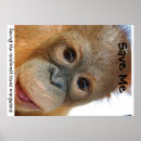 Search for forest conservation posters Rainforest