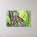 Search for purple butterfly canvas prints Orange