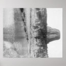 Search for devils tower posters Devil's