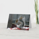 Search for grey squirrel cards Winter