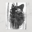 Search for panthers postcards Wildlife