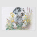 Search for dalmatian dog tissue paper Cute