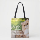 Search for peek a bags Animal
