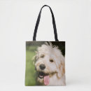 Search for pants bags Panting