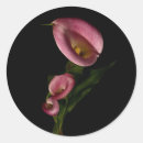 Search for multi region stickers Plants