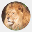 Search for 1 large round stickers Animal