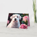 Search for dog rose cards Pet