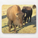 Search for herd mouse mats Field
