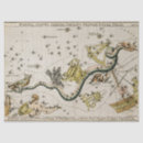 Search for celestial tissue paper Constellation