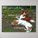 Search for brittany dog posters Cute