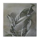 Search for olive graphic Leaf