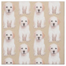 Search for pupppy Dog