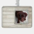Search for pet supplies Keepsake