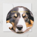 Search for border collies invitations Black and white