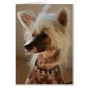 Search for lexi Dog