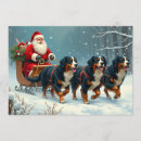 Search for bernese mountain dog cards Berner sennenhund