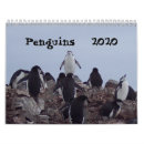 Search for arctic calendars Cute