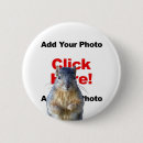 Search for squirrel photo badges Animals