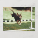 Search for dog behaviour postcards Outdoors