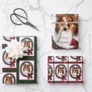 Search for sheltie wrapping paper Xmas