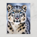 Search for leopard portrait postcards Animal