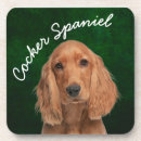 Search for cocker spaniel coasters Dogs