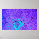 Search for maze posters Black