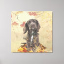 Search for spaniel canvas prints Autumn