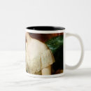 Search for botanist mugs Botany