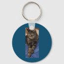 Search for basic button key rings Cars